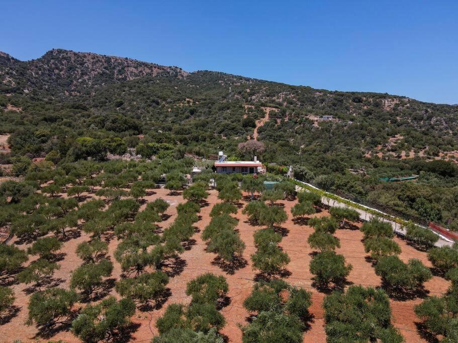 Mourelo House בית נופש *